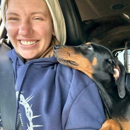 Doberman Pinscher and Dutch Shepherd Puppies from Crosspointe Canines; Home of Karmic Doberman Pinschers & Stellar Dutch Shepherds