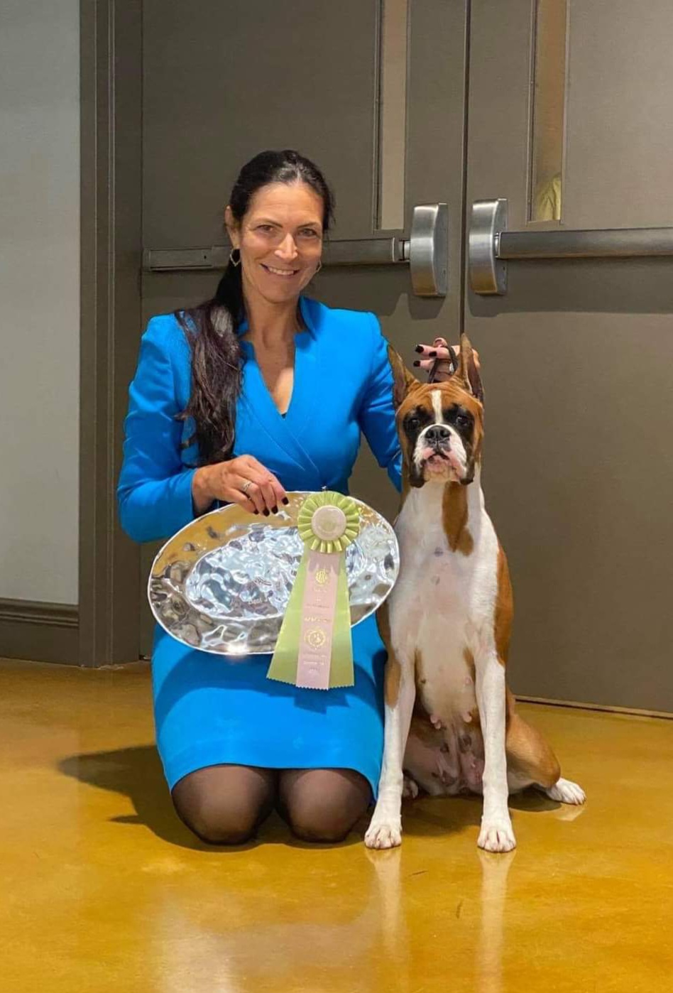 Cardi - Boxer