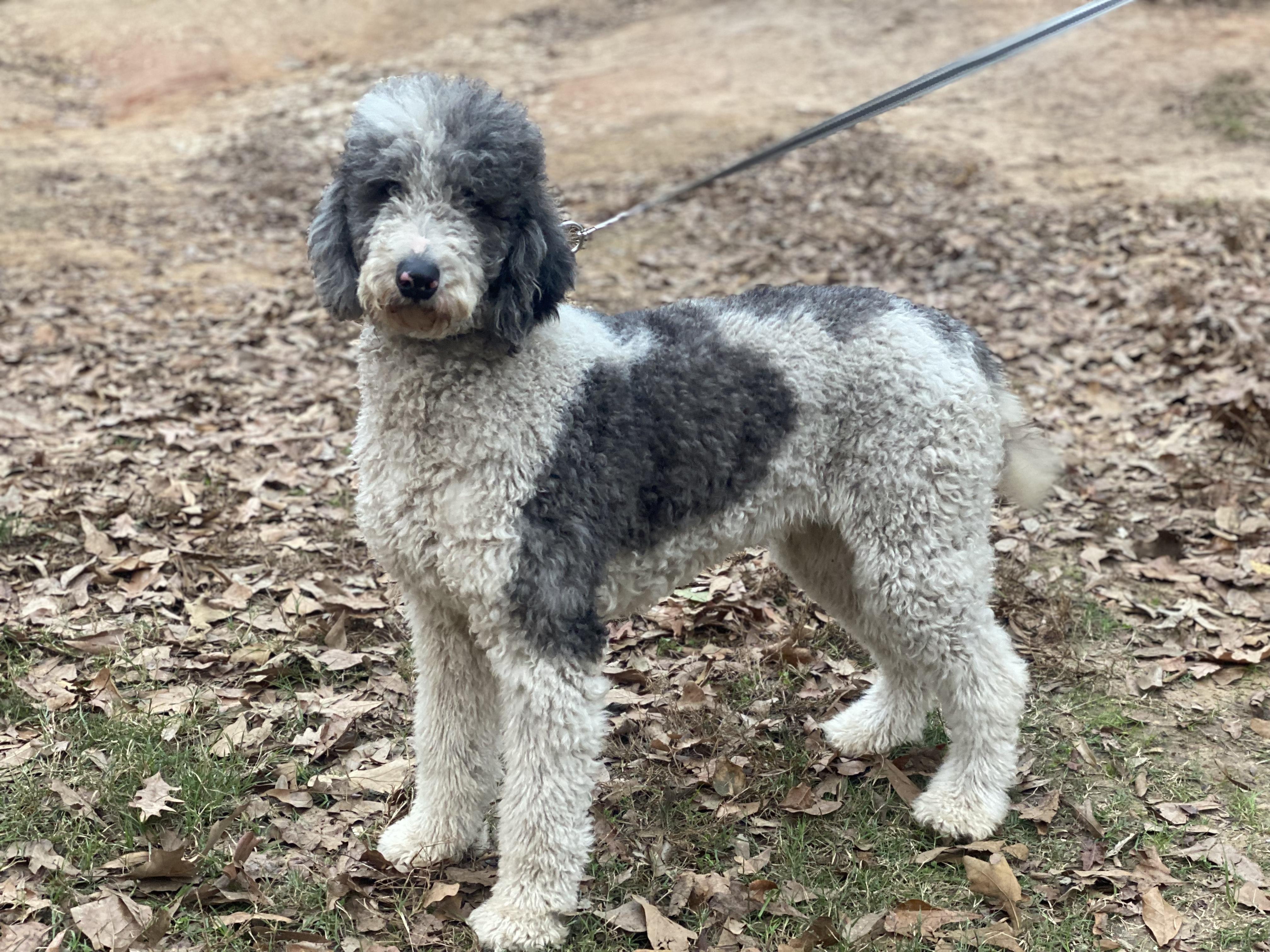 Tiffany (formerly Demi)