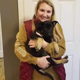 German Shepherd Puppies from Levesques German Shepherds