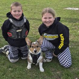 American Corgi and Border Collie Puppies from Duncan's Border Collies and Corgis