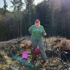 German Pinscher All Grown Up from RiverRAT Barn Hunt