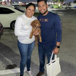 Goldendoodle and Poodle Puppies from SoFlo Lavish Kennels