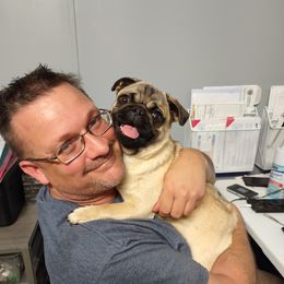 Mercy - Pug