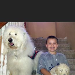 Bernedoodle, Goldendoodle, and Aussiedoodle All Grown Up from Arizona Goldendoodles
