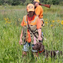 German Shorthaired Pointer Puppies from Keystone Gun Dogs/vom Schlussstein Shorthairs