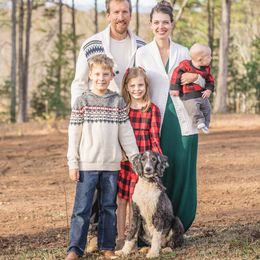 Bam - Sheepadoodle