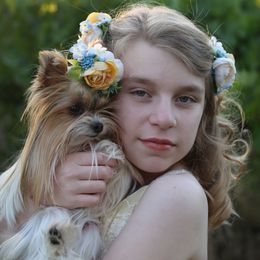 Yorkshire Terriers from Blueberry Brook