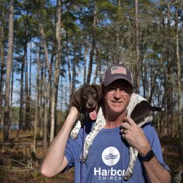 German Shorthaired Pointer, Miniature American Shepherd, Miniature Australian Shepherd, and Toy Australian Shepherd Puppies from Foxtail Hollow
