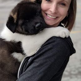 Akita Puppies from BleuMoon Akitas