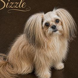 Sizzle - Mi-Ki
