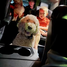 Labradoodle Puppies from California Double Doodles