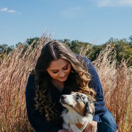 Feyre Darling - Australian Shepherd