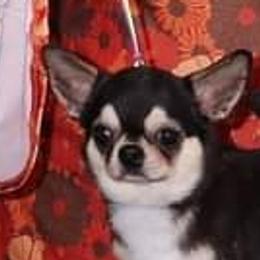 Chiapa - Chihuahua