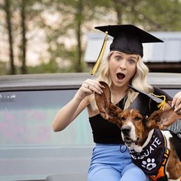 Basset Hound All Grown Up from Snellgrove Farms