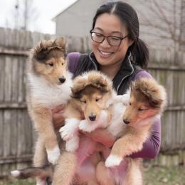 Collie Puppies from Covenant Collies