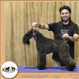 Kerry Blue Terrier All Grown Up from Cross the Rubicon