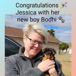 Biewer Terrier and Yorkshire Terrier Puppies from Southeast Biewers