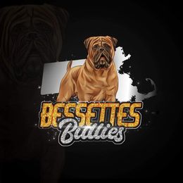 Techno - Red brindle female Bullmastiff puppy in South Attleboro, Massachusetts from Bessettes Bullies