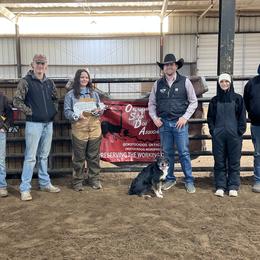 Border Collies from South Wind Stockdogs