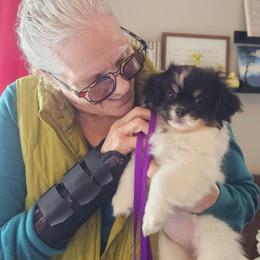 Fava Bean - White female Tibetan Spaniel puppy in Vancouver, Washington from Trillium Tibetan Spaniels