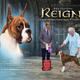 Reign