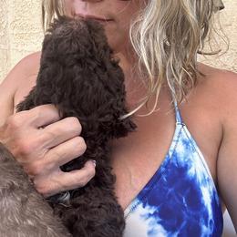 Lagotto Romagnolo Puppies from Anna’s Lagottos