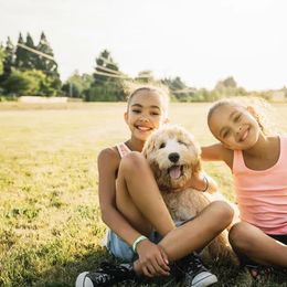 Aussiedoodle All Grown Up from Nellie’s AussieDoodles