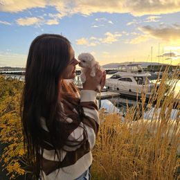 Snow Princess - White female Maltese puppy in Washington from Mt.BakerPoodles&Doodles