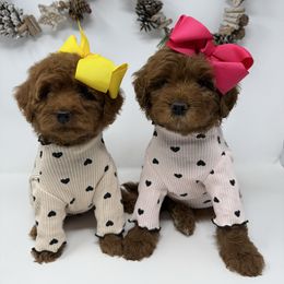 Yellow green red - Red  female Goldendoodle puppy in Krum, Texas from Heartfelt GoldenDoodles