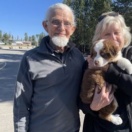 Australian Shepherd Puppies from Middle Fork Australian Shepherds
