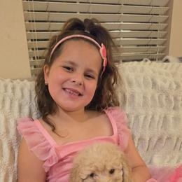 Rusty - Apricot male Goldendoodle puppy in Orange Park, Florida from Evergrace Farm Doodles