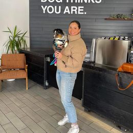 Aussiedoodle and Miniature Australian Shepherd Puppies from Maple Ridge Mini Aussies