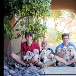 Golden Retriever Puppies from Geaux Dog