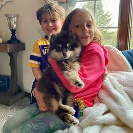 Pomsky Puppies from Southern Minnesota Pomskies