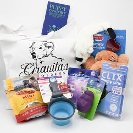 Golden Retriever Puppies from Gravitas Golden Retrievers