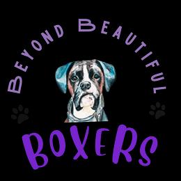 Boxers from Beyond Beautiful Boxers
