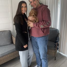 Goldendoodle Puppies from Mini Goldendoodles of New England