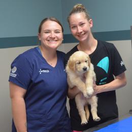 Goose (silver collar) - Golden male Golden Retriever puppy in Webster City, Iowa from Whispering Pines Precious Puppies