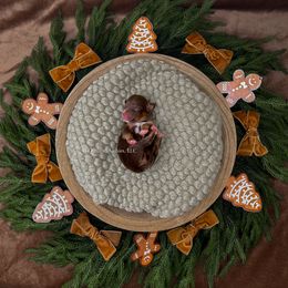 Girl 2 - female Miniature Australian Shepherd puppy in Oklahoma City, Oklahoma from Outland Toy & Mini Aussies