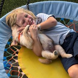 Willie - Golden male Golden Retriever puppy in Peoria, Arizona from Westwing Retrievers
