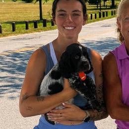 Gus - Liver white and roan male English Springer Spaniel puppy in Braidwood, Illinois from A & R Springers