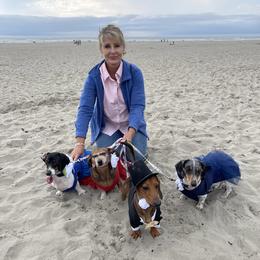 Dachshunds from Once Upon a Ween