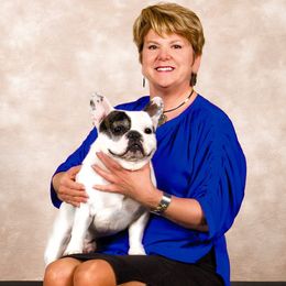 Brynn - French Bulldog