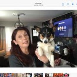 Pembroke Welsh Corgi Puppies from Corgitown
