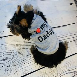 Yorkipoo and Yorkshire Terrier Puppies from Bougie Paws llc