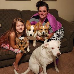 Pembroke Welsh Corgis from OhanaCorgis LLC