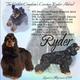 Ryder