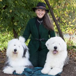 Old English Sheepdogs from Shaggey Paws
