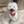 Unnamed